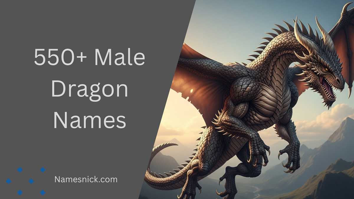 Male Dragon Names