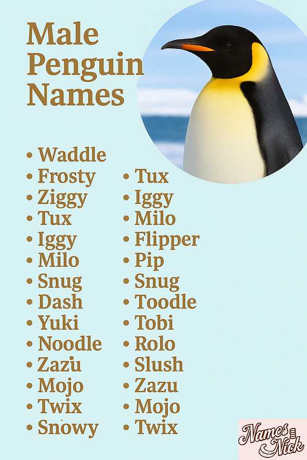 Male Penguin Names