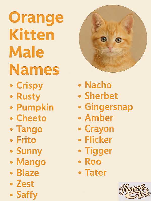 Orange Kitten Male Names