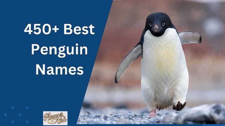 Penguin Names