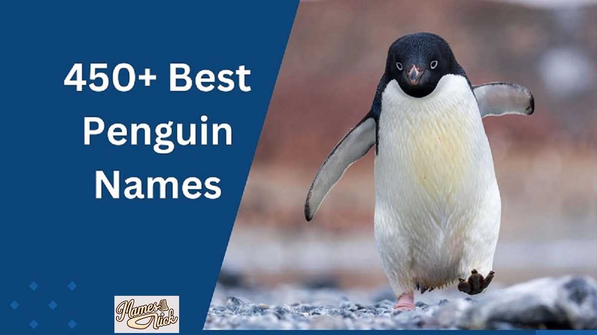 Penguin Names