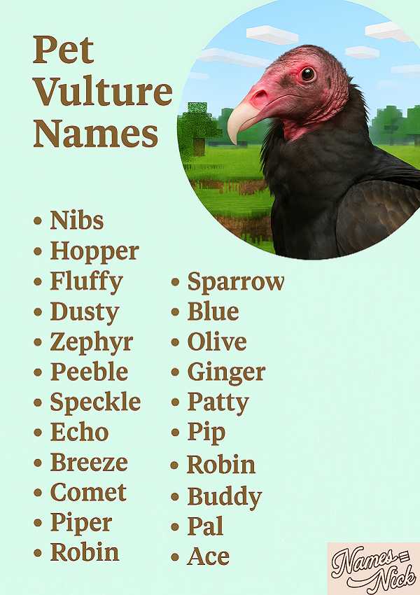 Pet Vulture Names