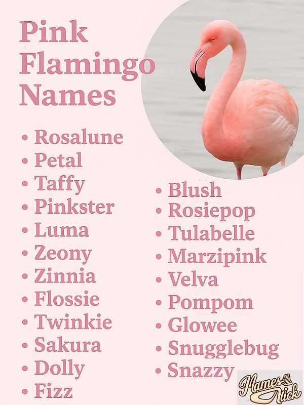 Pink Flamingo Names