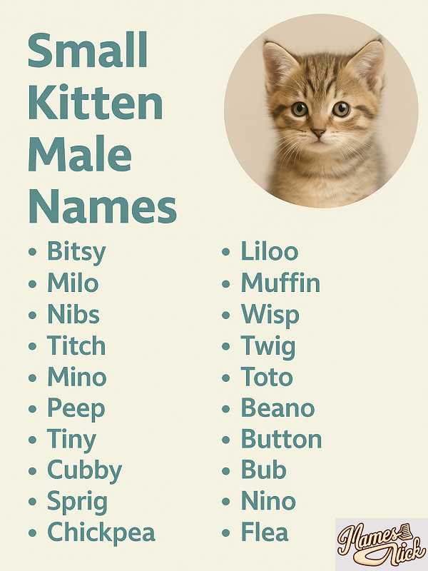 Small Kitten Male Names
