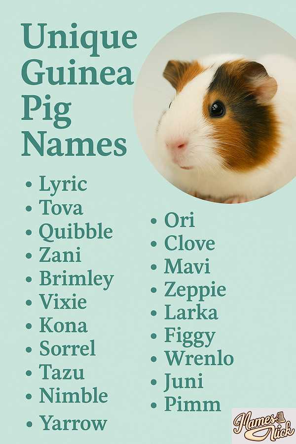 Unique Guinea Pig Names