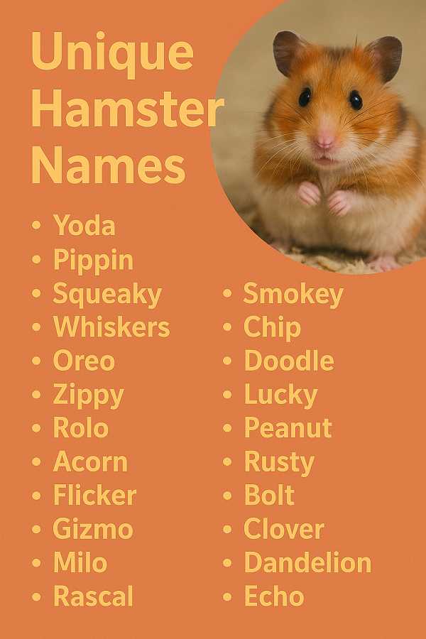 Unique Hamster Names
