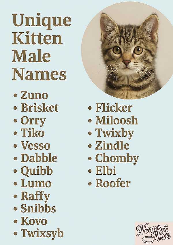 Unique Kitten Male Names
