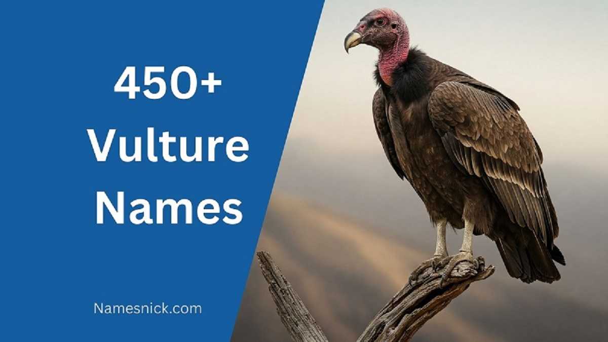 Vulture Names