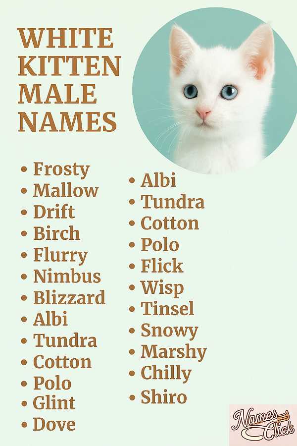 White Kitten Male Names