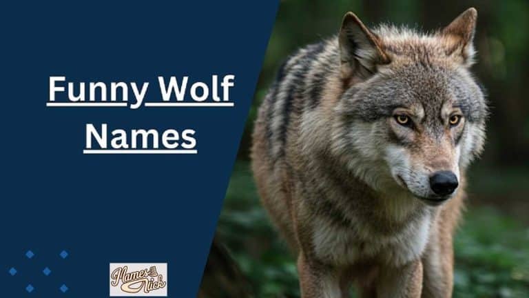 Wolf Names