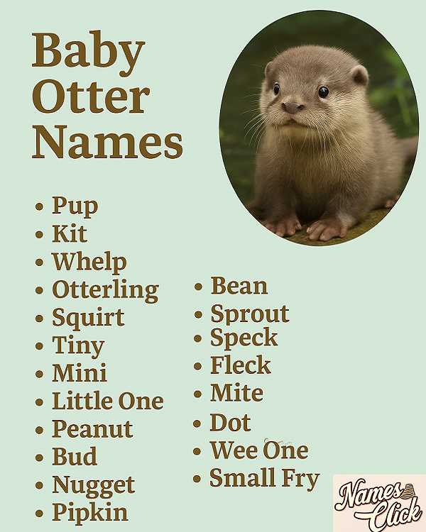 Baby Otter Names