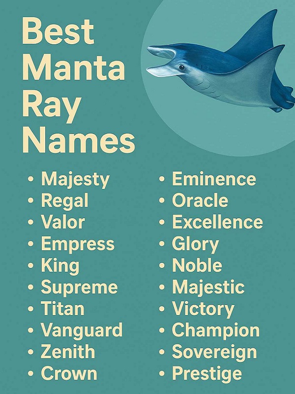 Best Manta Ray Names