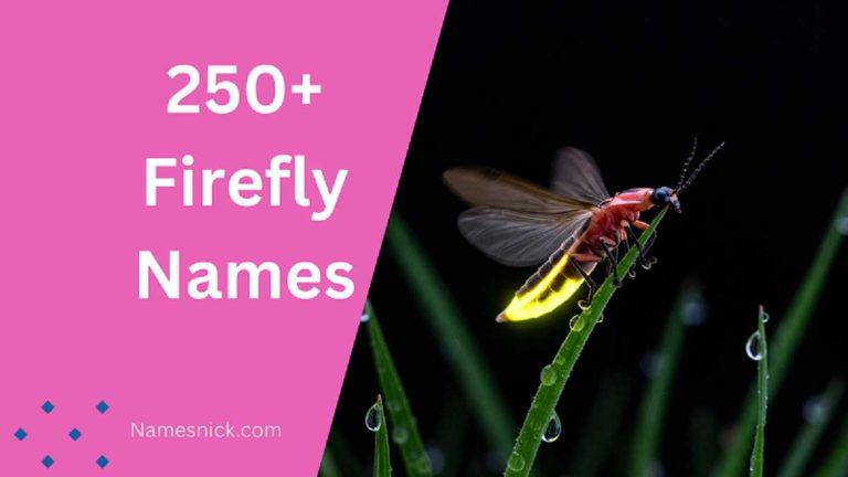 Firefly Names