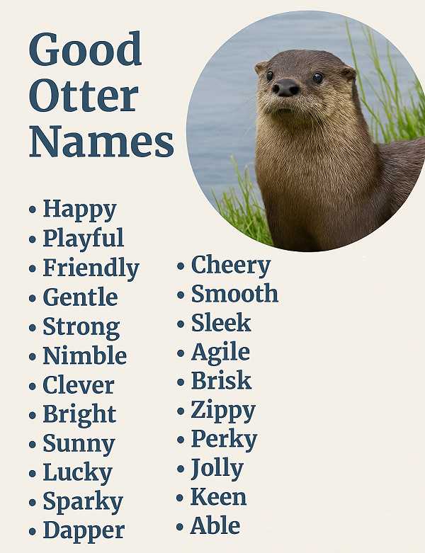 Cute Otter Names