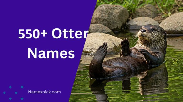 Otter Names