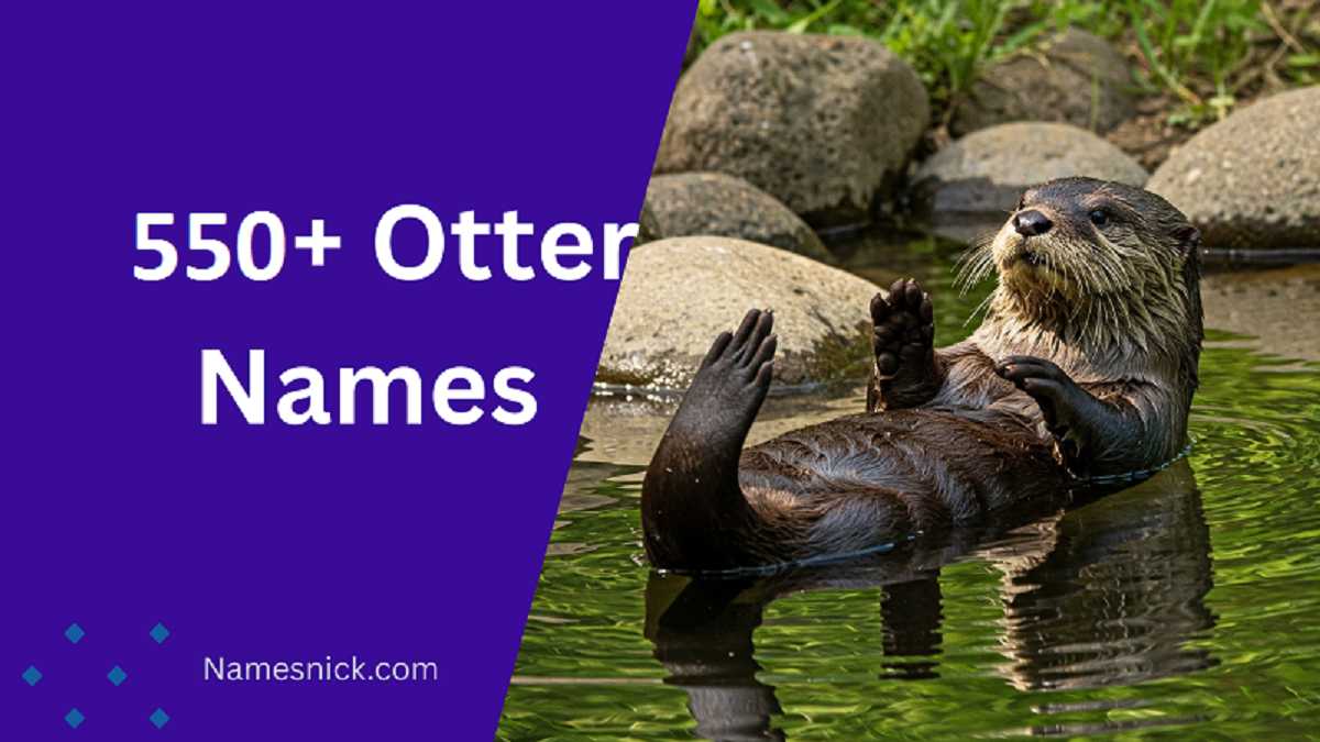 Otter Names