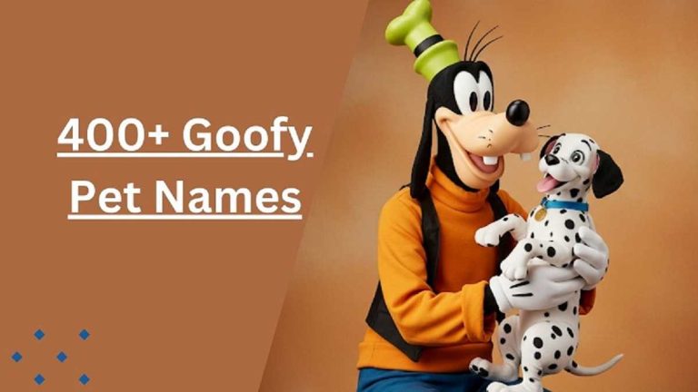 Unique Goofy Pet Names