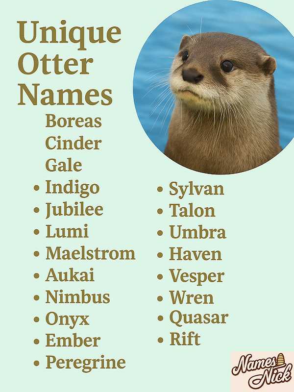 Unique Otter Names