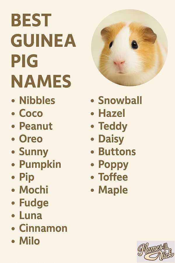 Best Guinea Pig Names
